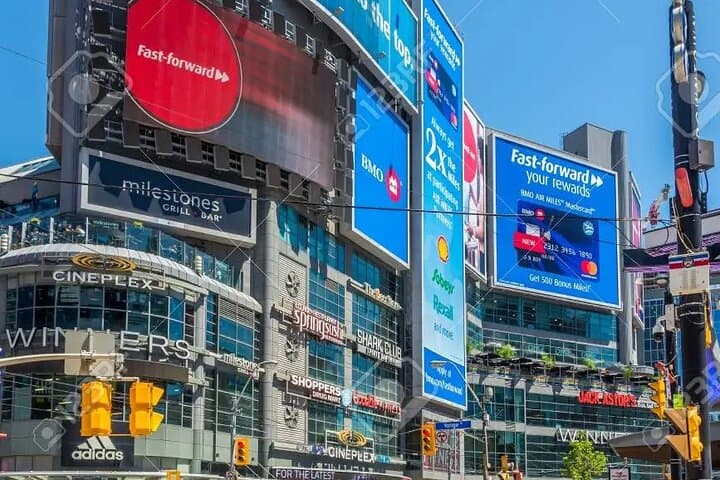 Half-Day Private Toronto City Tour: CN Tower, Distillery District & Harbourfront photo 5