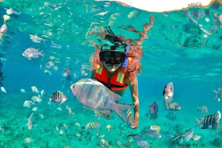 Puerto Morelos Snorkel: Express Guided Tour of the Mesoamerican Reef