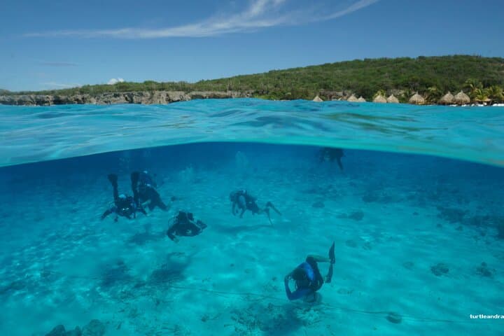 Two-Tank Guided Shore Dive at Pierbaai Reef & Car Pile — Curaçao photo 5
