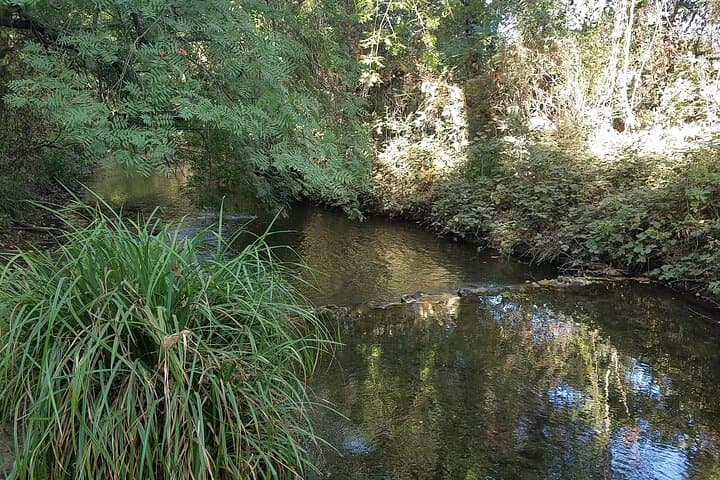Explore Chico by E-Bike: 4-Hour Rental Through Bidwell Park & Downtown photo 3