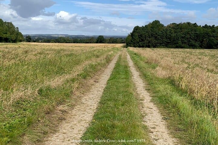 Castle Howard Bridgerton Day Tour from York — Private House & Gardens Experience photo 3
