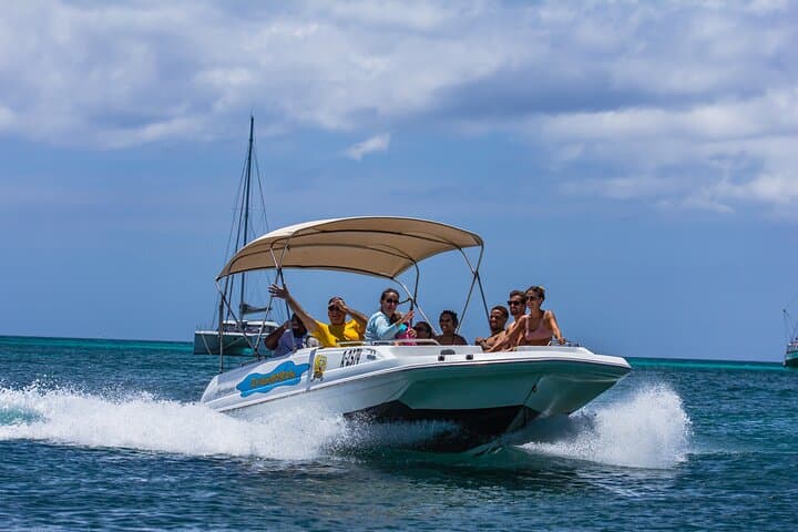 Private Aruba Boat Cruise & Snorkel to the Antilla Wreck and Malmok Reef photo 5