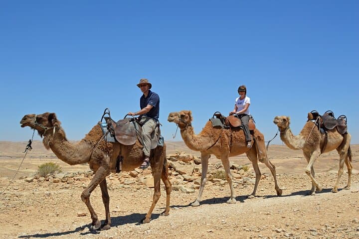 Paradise Valley Camel Ride and Hammam Day Trip from Agadir photo 3