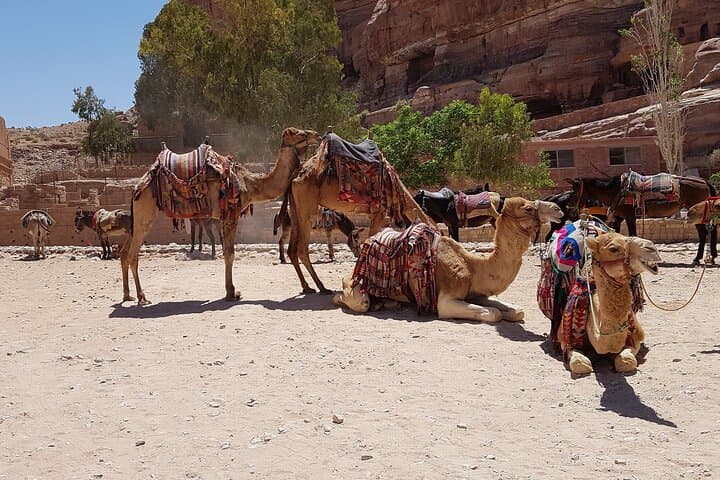 Desert Dinner and Transfers from Marrakech — Agafay-Style Evening Under the Stars photo 4