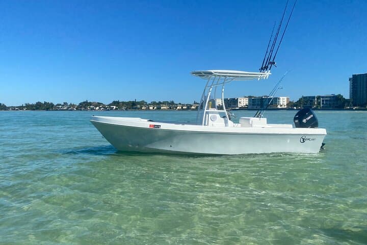 Sarasota Private Day Boating Charter: Dolphin Watching, Snorkel & Sandbar Escapes