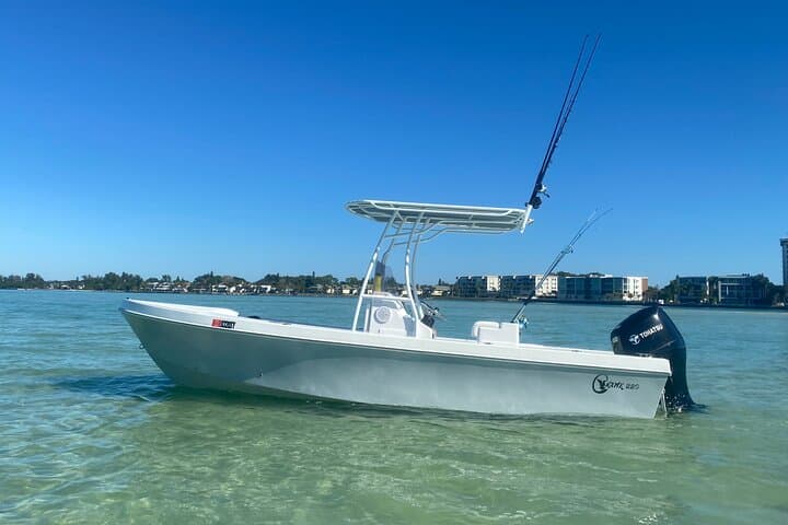 Sarasota Private Day Boating Charter: Dolphin Watching, Snorkel & Sandbar Escapes photo 2