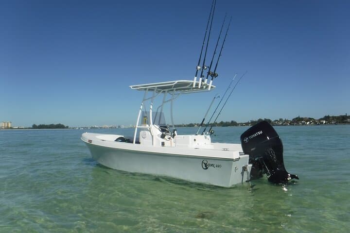 Sarasota Private Day Boating Charter: Dolphin Watching, Snorkel & Sandbar Escapes photo 4
