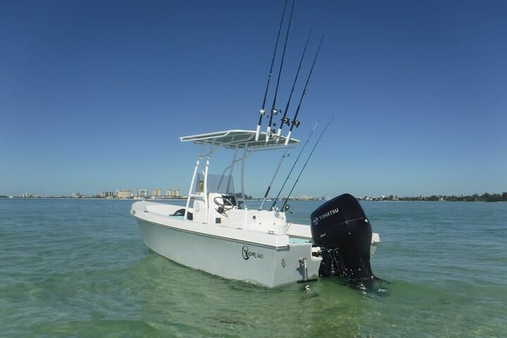 Sarasota Private Day Boating Charter: Dolphin Watching, Snorkel & Sandbar Escapes photo 6