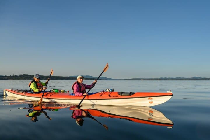 Griffin Bay Kayak Tour: Guided Wildlife Paddle on San Juan Island photo 1