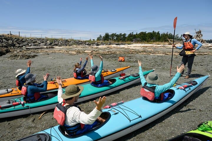 Griffin Bay Kayak Tour: Guided Wildlife Paddle on San Juan Island photo 2