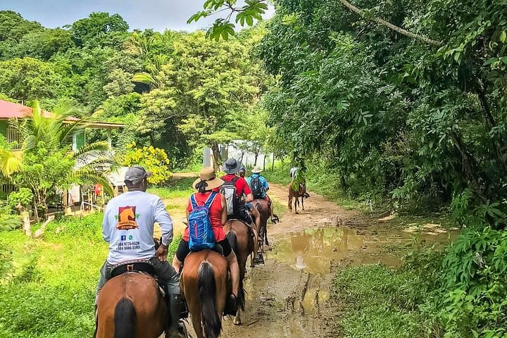 Roatán Horseback Riding, West End Village & West Bay Beach Pass Day Trip photo 6