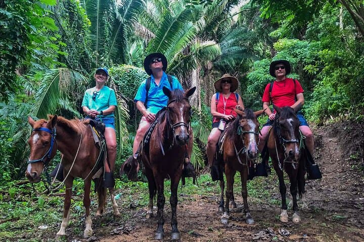 Roatán Horseback Riding, West End Village & West Bay Beach Pass Day Trip photo 5