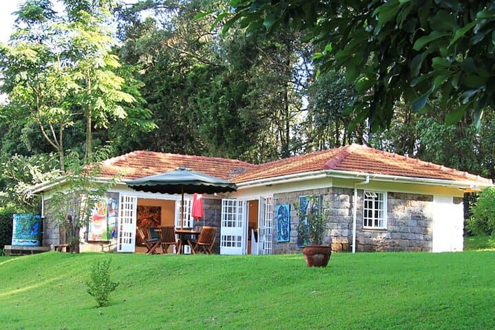 Private Nairobi Art Galleries Day Tour — Museums, Contemporary Art & Culture photo 4