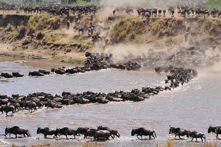 4-Day Serengeti Wildebeest Migration Safari — Western Corridor & Ngorongoro Crater photo 3