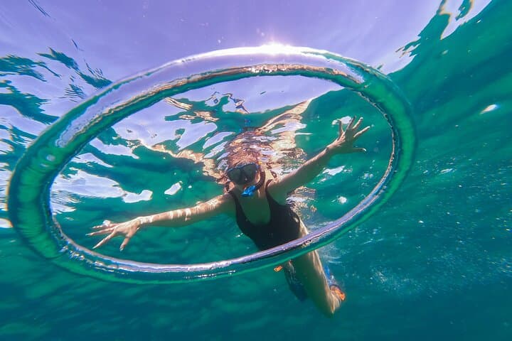 Sunrise Kayak to El Arco: Kayak, Snorkel & Sea Lions in Cabo San Lucas photo 3