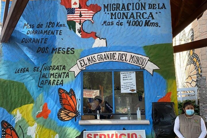 3-Day Guided Monarch Butterfly Experience in Michoacán: Angangueo & Pátzcuaro photo 2