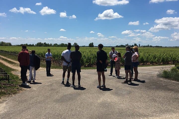 Discover Médoc: Private Half-Day Tour of 1855 Classified Châteaux photo 2