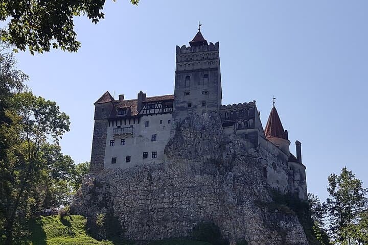 One-Day Transylvania: Bears Sanctuary, Bran Castle & Brasov from Bucharest photo 6
