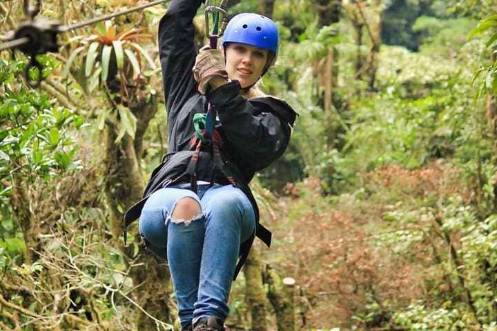 Monteverde Canopy Zipline & Butterfly Garden at Selvatura Park photo 5