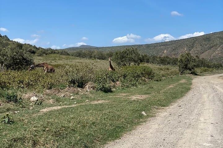 7-Day Private Jeep Safari from Nairobi — Masai Mara, Nakuru, Naivasha & Amboseli photo 3