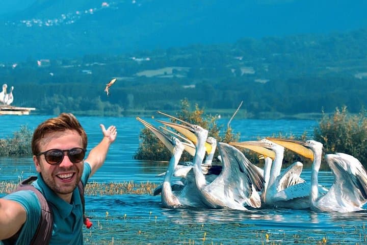 Kerkini Lake Day Trip from Thessaloniki: Flamingos, Buffalos & Birdwatching
