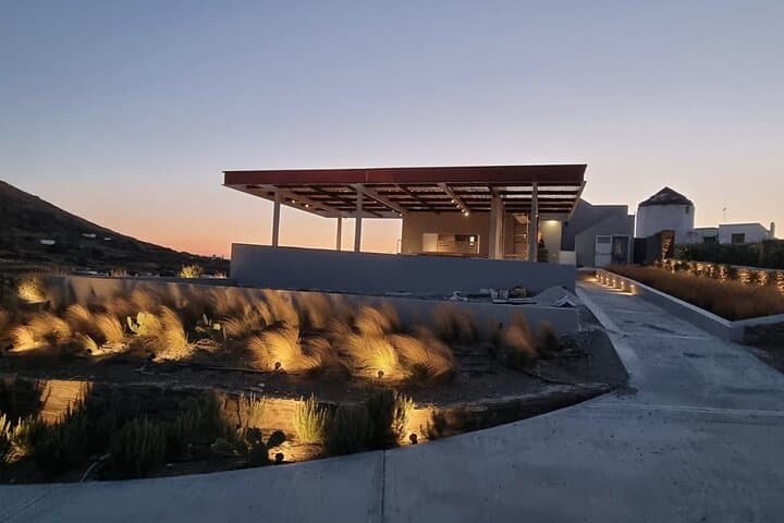 Winery Tour and Tasting in Tinos: Meet the Winemaker in Steni photo 4