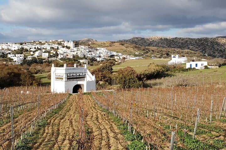 Winery Tour and Tasting in Tinos: Meet the Winemaker in Steni photo 5
