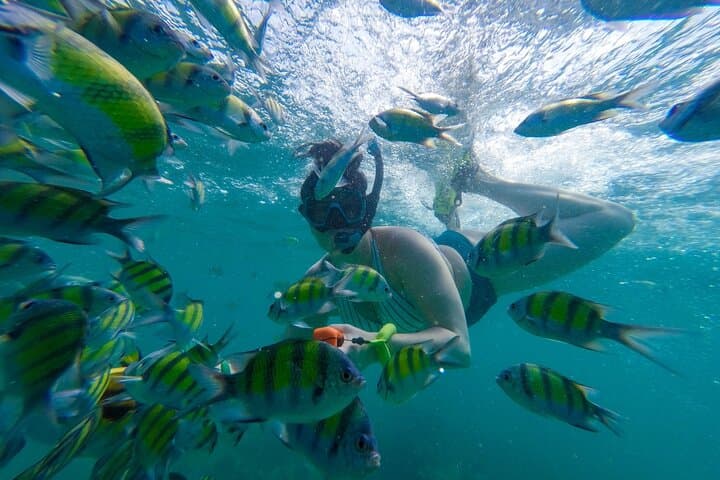 Phi Phi Islands Snorkeling Day Trip from Khao Lak — Speedboat Adventure photo 3