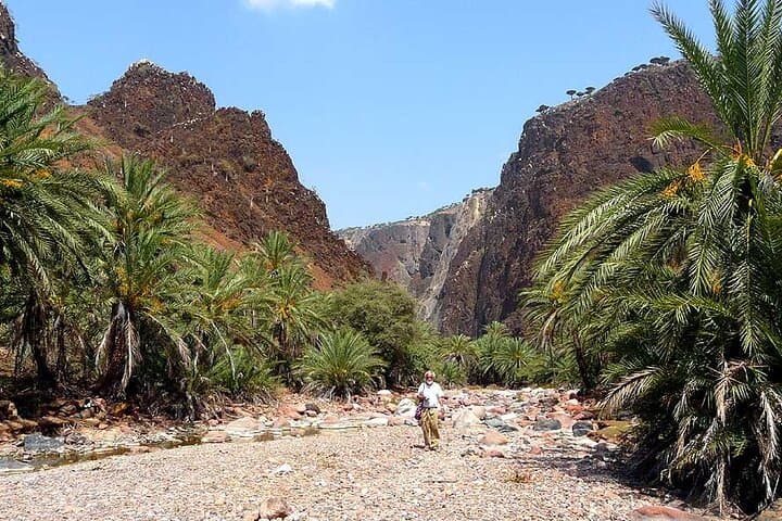 Private Jeep Safari to Wadi Qunai & Three Pools from Dahab — Off‑Road and Snorkel Day Trip photo 6