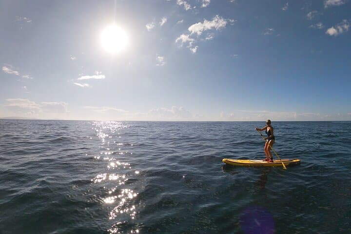 Camara de Lobos SUP: Private 90-Minute Coastal Stand Up Paddle Tour photo 6