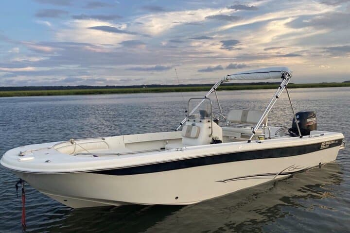 Vanishing Mile Isle Beachcomber Tour — Hilton Head's Tide-Revealed Sandbar photo 4