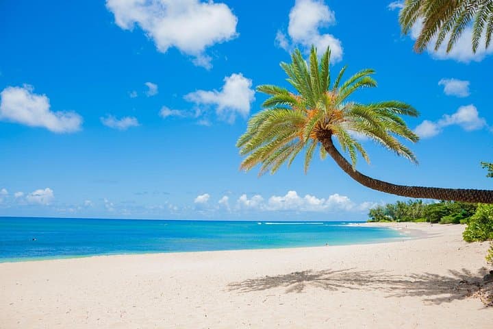 Grand Circle Island Tour: Full-Day Oahu North Shore & Dole Plantation Excursion photo 1