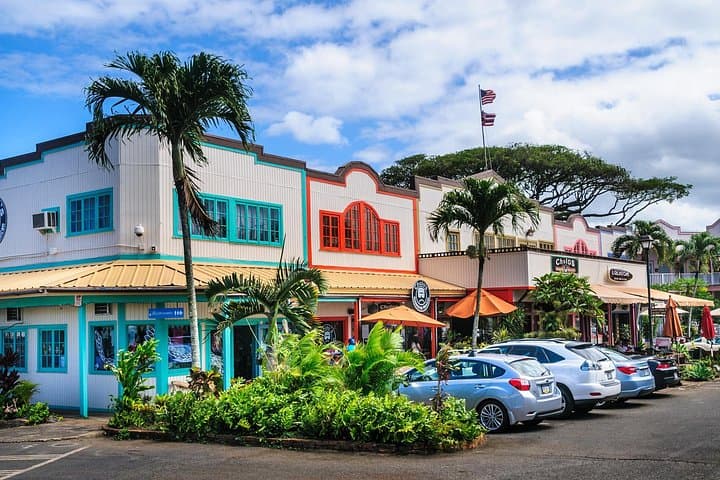 Grand Circle Island Tour: Full-Day Oahu North Shore & Dole Plantation Excursion photo 4