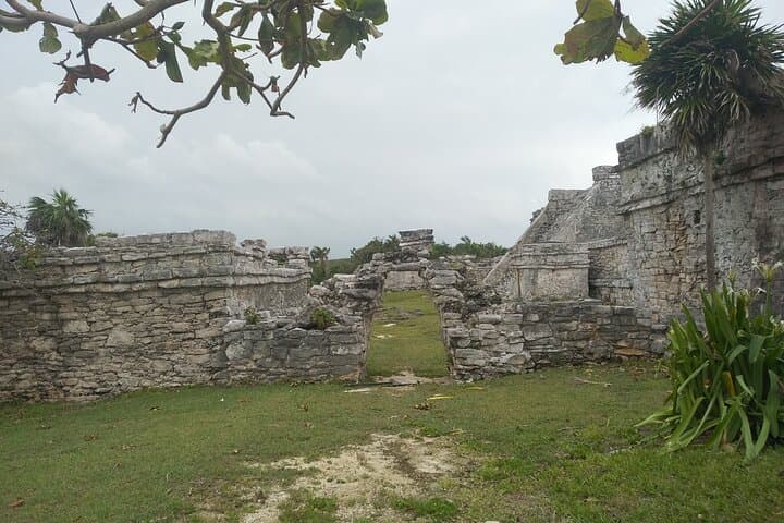 Half-Day Tulum Ruins Tour and Cenote Swim from Playa del Carmen photo 4