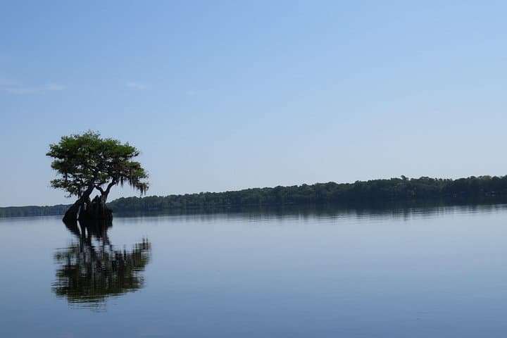 Lake Norris Kayak Explorer: 3-Hour Guided Small-Group Tour in Florida's Cypress Swamp photo 3