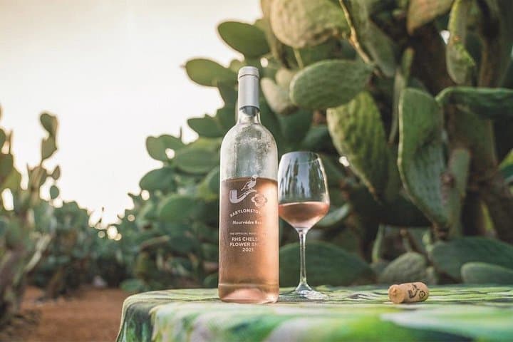 De-Alcoholized Wine Tasting on the Stellenbosch Wine Route — Non‑Alcoholic Wine Tour photo 6