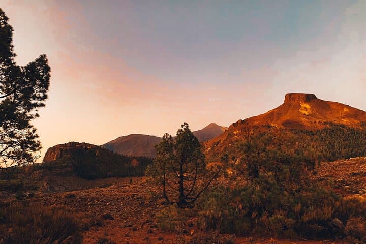 Full-Day Teide, Masca, Icod & Garachico Tour from Tenerife photo 4