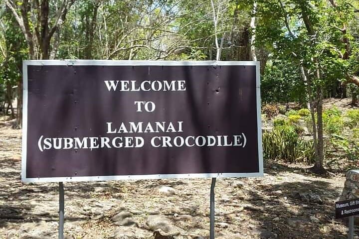 Lamanai Temples & New River Cruise: Howler Monkeys, Maya Ruins and Birding photo 3