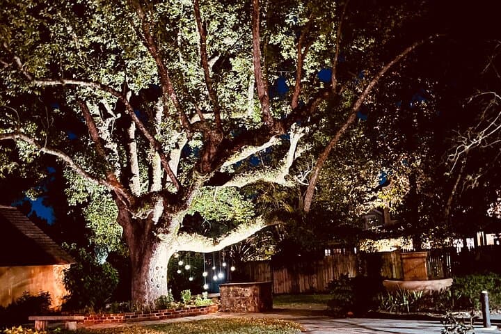 St. Augustine Private Electric Golf Cart Ghost Tour — Lincolnville Night Ride photo 4