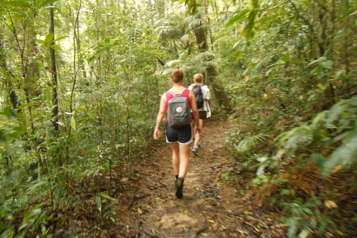 Pico da Tijuca Hike: Summit Rio’s Highest Peak in Tijuca National Park photo 6