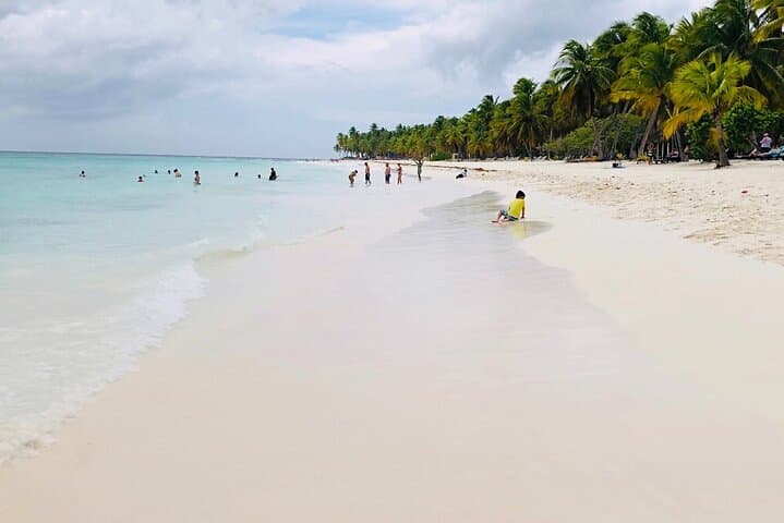 Saona Island Day Trip: Natural Pool & Beaches from Punta Cana photo 4