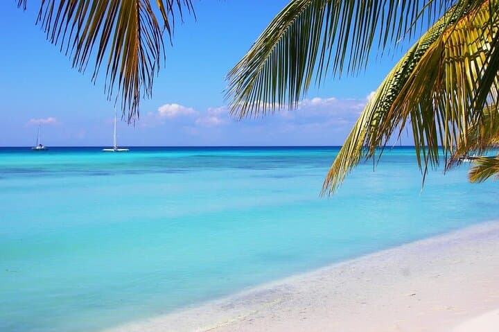 Saona Island Day Trip: Natural Pool & Beaches from Punta Cana photo 3