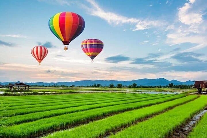 Chiang Rai Hot Air Balloon Flight: Sunrise Balloons over the Golden Triangle