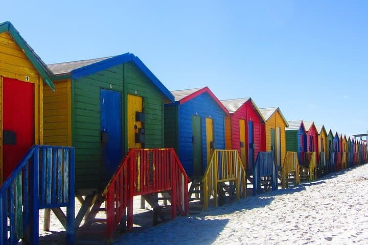Cape Point & Boulders Penguin Colony: Full-Day Private Tour from Cape Town photo 6