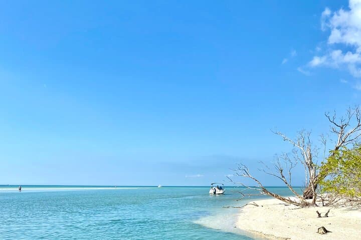 Tiny Tiki Half-Day Cruise to Lovers Key from Fort Myers Beach