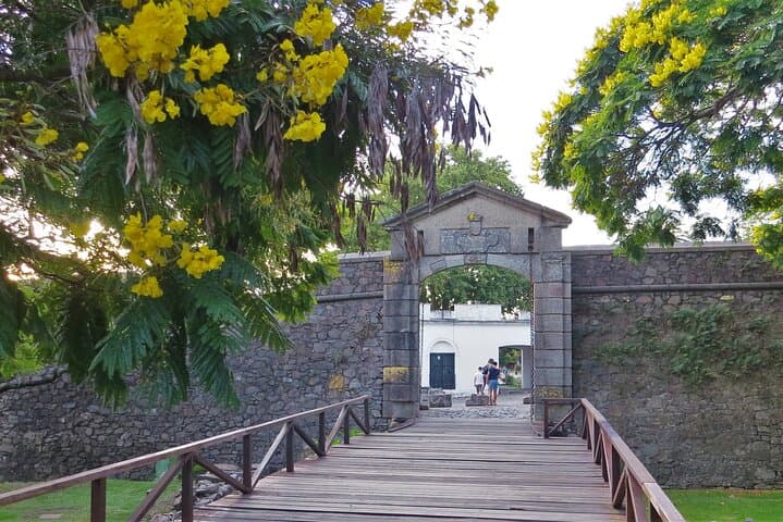 Old City Birdwatching in Colonia del Sacramento: Private Guided Walk
