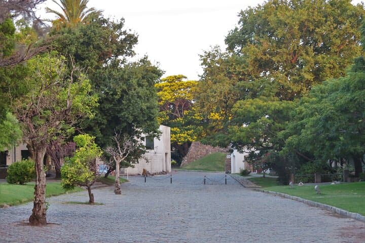 Old City Birdwatching in Colonia del Sacramento: Private Guided Walk photo 4