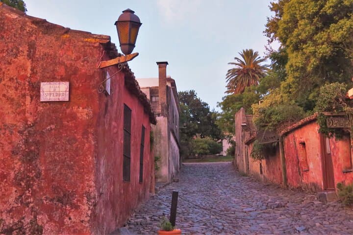 Old City Birdwatching in Colonia del Sacramento: Private Guided Walk photo 6