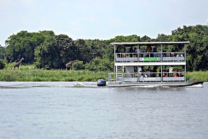 5-Day Private Uganda Safari: Ziwa Rhino Sanctuary & Murchison Falls Experience