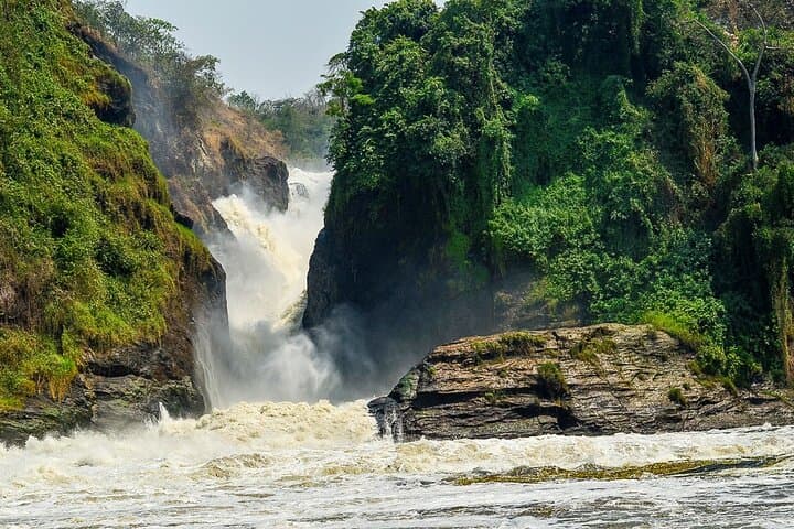 5-Day Private Uganda Safari: Ziwa Rhino Sanctuary & Murchison Falls Experience photo 2